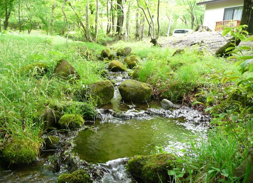 Extérieur Photo