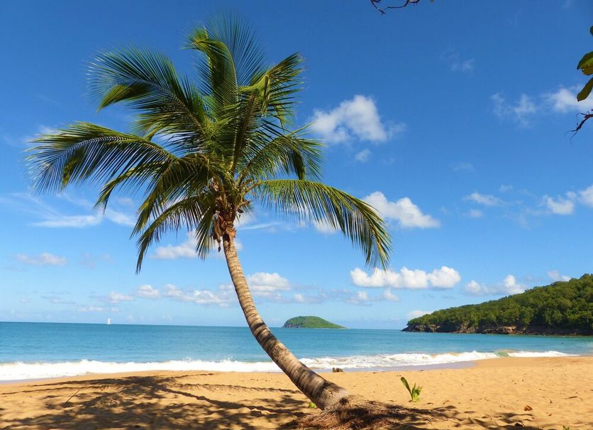 Plage Photo