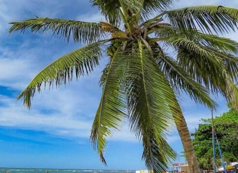 Plage Photo