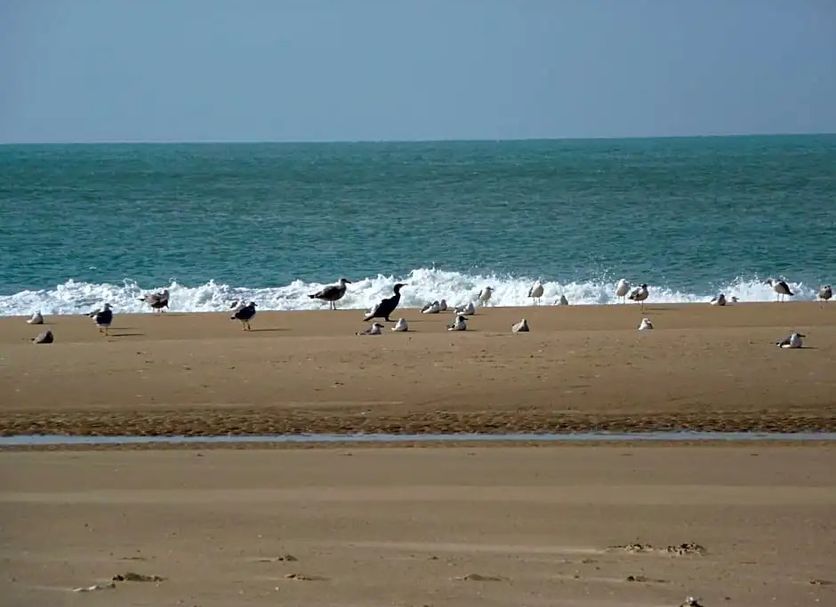 Plage Photo