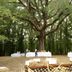 Salle de banquet