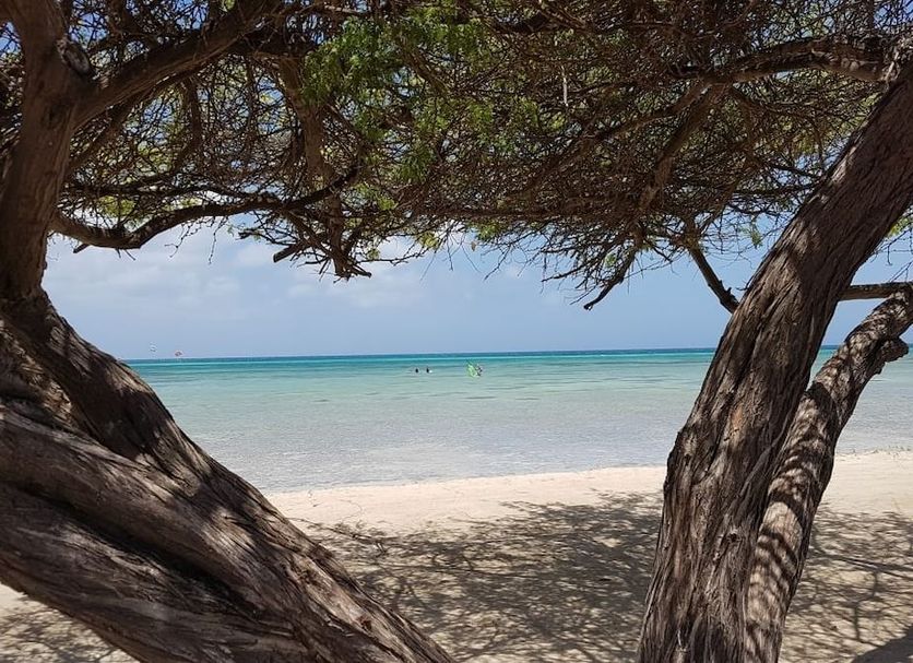 Plage Photo