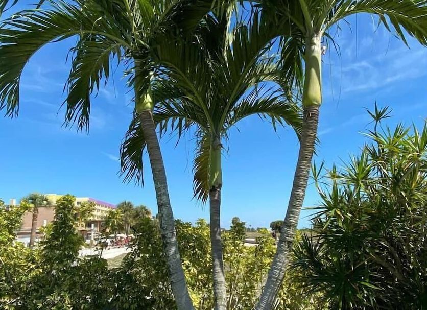 Extérieur Photo