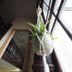 Décor