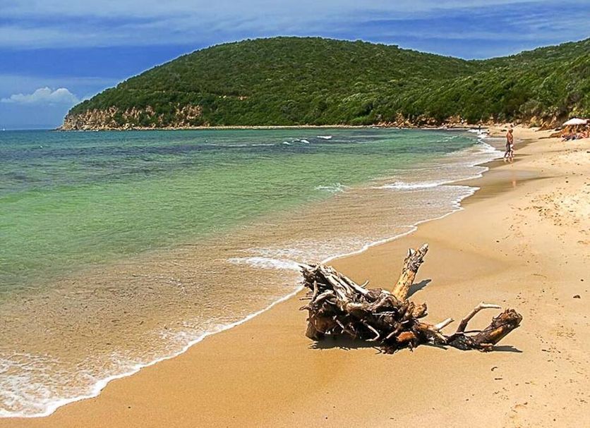 Plage Photo