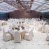 Salle de banquet
