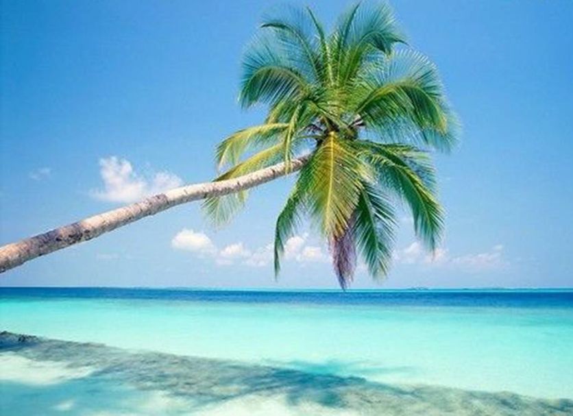 Plage Photo