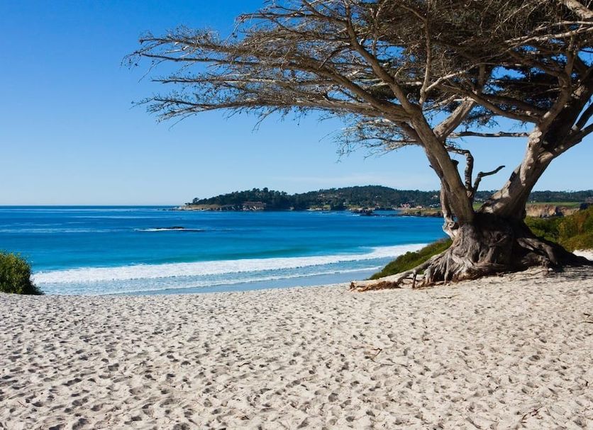 Plage Photo
