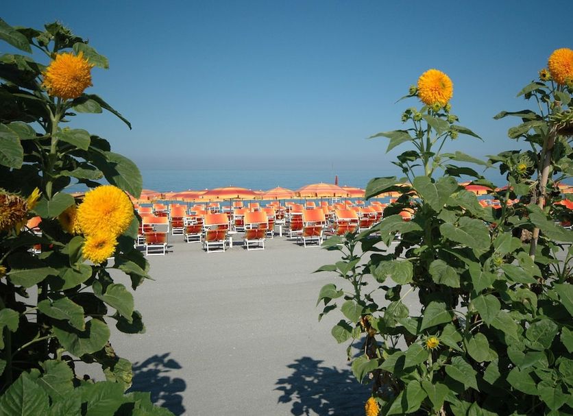 Plage Photo