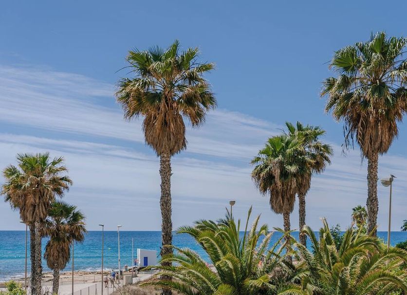 Plage Photo
