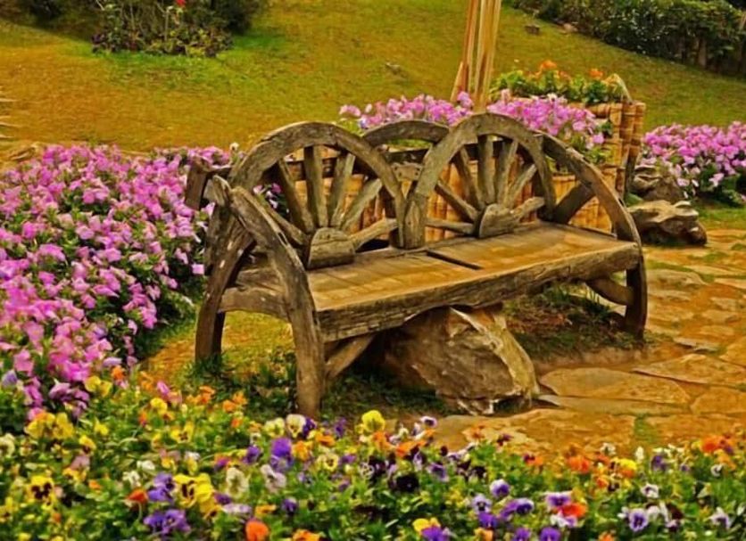 Patio Photo