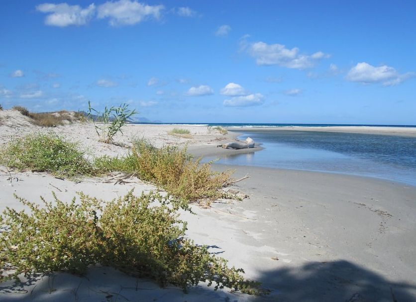 Plage Photo