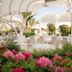 Salle de banquet