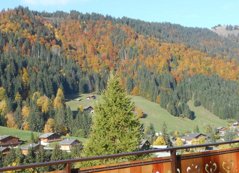 Balcon Photo